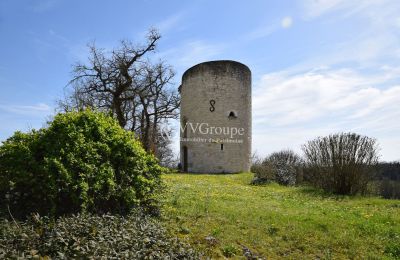 Château à vendre Monflanquin, Nouvelle-Aquitaine, Tour