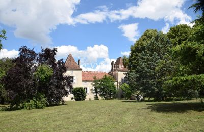 Manoir à vendre Penne-d'Agenais, Nouvelle-Aquitaine, Parc