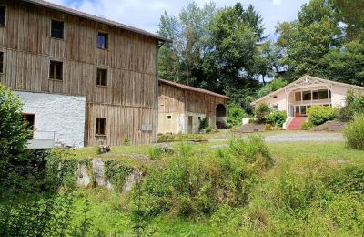 Moulin à vendre Pissos, Nouvelle-Aquitaine, Image 2/14