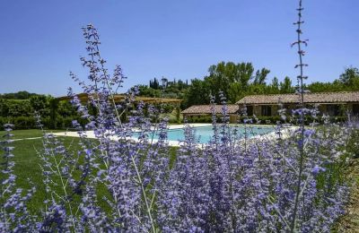 Maison de campagne à vendre Montepulciano, Toscane, Image 17/17