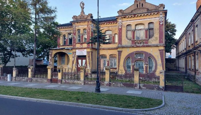 Villa historique Piotrków Trybunalski 2