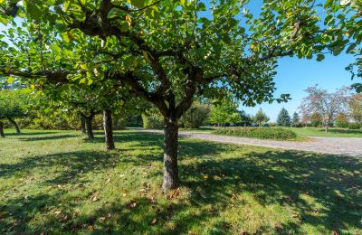 Manoir à vendre Mazovie, Image 27/48