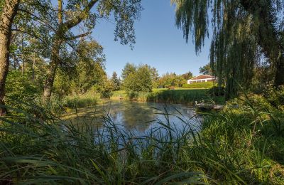 Manoir à vendre Mazovie, Image 47/48