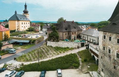 Château médiéval à vendre Karlovarský kraj, Vue