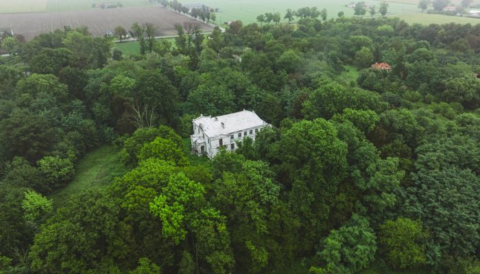 Château à vendre Pobórz, Łódź,  Pologne