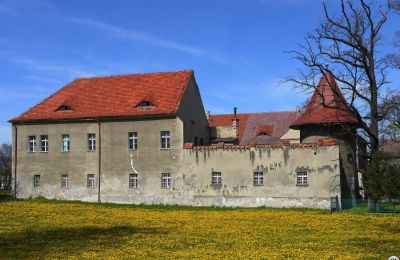 Propriétés, Ancien château en Pologne près de Wałbrzych