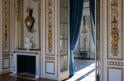 Château à vendre Louveciennes, Île-de-France, Image 5/10