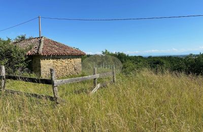 Propriété historique à vendre Mirande, Occitanie, Image 27/45