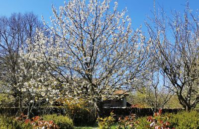 Manoir à vendre Marciac, Occitanie, Jardin