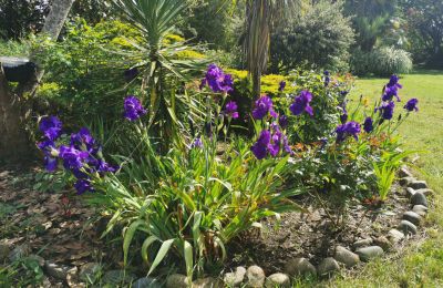 Manoir à vendre Marciac, Occitanie, Jardin