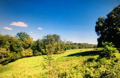 Manoir à vendre Pau, Nouvelle-Aquitaine, Image 19/20