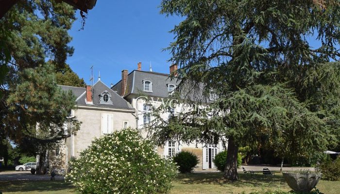 Manoir à vendre Villeneuve-sur-Lot, Nouvelle-Aquitaine,  France