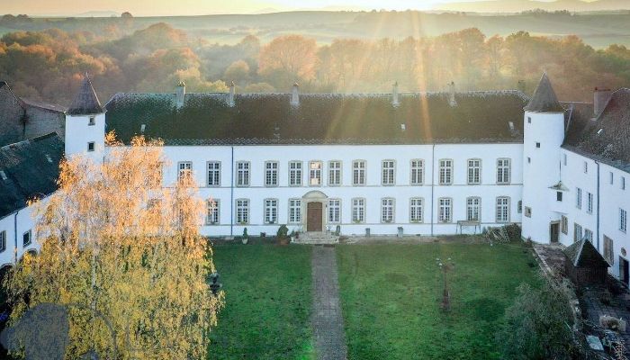 Château à vendre Roussy-le-Bourg, Grand-Est,  France