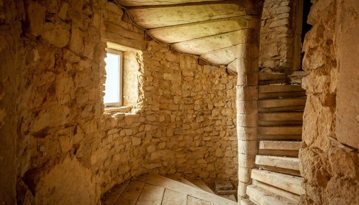 Château à vendre Roussy-le-Bourg, Grand-Est,  France