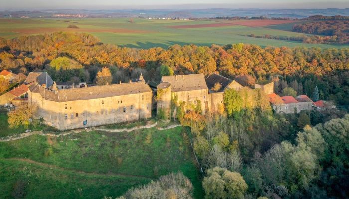 Château à vendre Roussy-le-Bourg, Grand-Est,  France