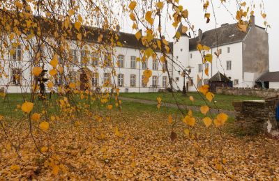 Château à vendre Roussy-le-Bourg, Grand-Est, Vue extérieure