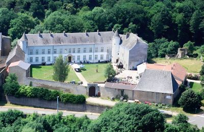 Château à vendre Roussy-le-Bourg, Grand-Est, Château de Roussy-Comté