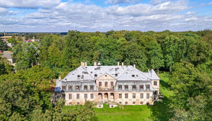 Château à vendre Minkowskie, Voïvodie d'Opole,  Pologne