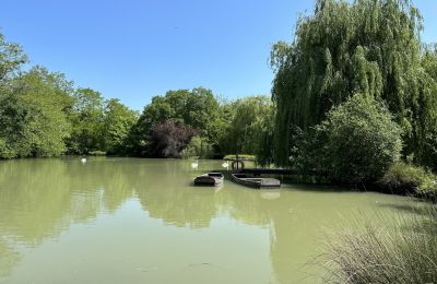 Château à vendre Centre-Val de Loire, Lac/étang