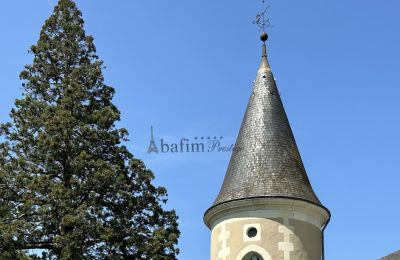 Château à vendre Centre-Val de Loire, Détails