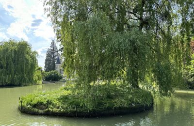 Château à vendre Centre-Val de Loire, Parc