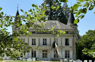 Château à vendre Centre-Val de Loire, Vue de l'arrière