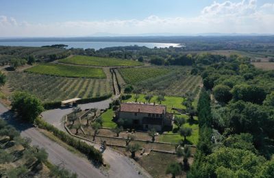 Ferme à vendre 06069 Tuoro sul Trasimeno, Ombrie, Image 2/23