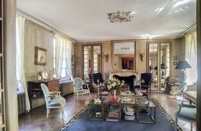 Château à vendre Bourgogne-Franche-Comté, Salon