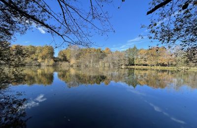 Manoir à vendre Eauze, Occitanie, Lac/étang