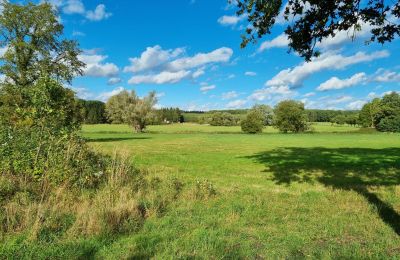 Manoir à vendre 18461 Grenzin, Mecklembourg-Poméranie-Occidentale, Wiese rechts