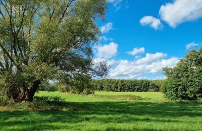 Manoir à vendre 18461 Grenzin, Mecklembourg-Poméranie-Occidentale, Landschaft