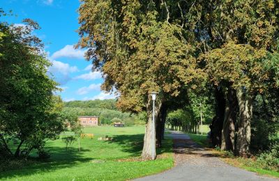 Manoir à vendre 18461 Grenzin, Mecklembourg-Poméranie-Occidentale, Blick zum Dorf