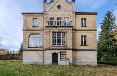 Château à vendre Grabiszyce Średnie, Basse-Silésie, Vue latérale