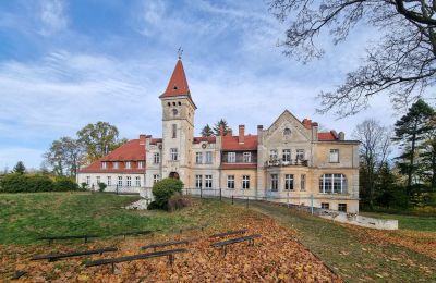 Château à vendre Grabiszyce Średnie, Basse-Silésie, Image 21/22