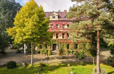 Château à vendre Wojnowice, Pałacowa, Silésie, Image 15/15