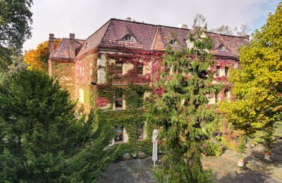 Château à vendre Wojnowice, Pałacowa, Silésie, Vue extérieure