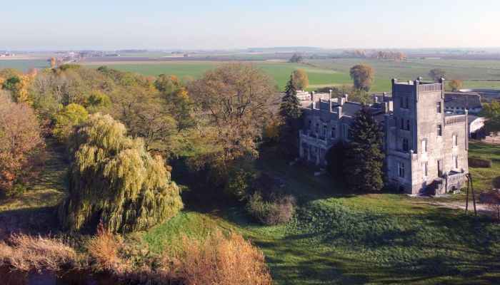 Château Górki Dąbskie 2