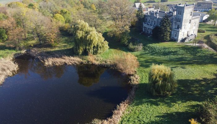 Château Górki Dąbskie 3