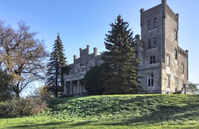 Château à vendre Górki Dąbskie, Pałac w Górkach Dąbskich, Cujavie-Poméranie, Vue extérieure