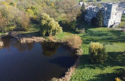 Château à vendre Górki Dąbskie, Pałac w Górkach Dąbskich, Cujavie-Poméranie, Terrain