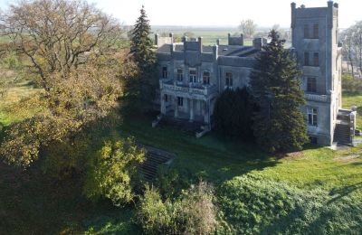 Château à vendre Górki Dąbskie, Pałac w Górkach Dąbskich, Cujavie-Poméranie, Image 20/22