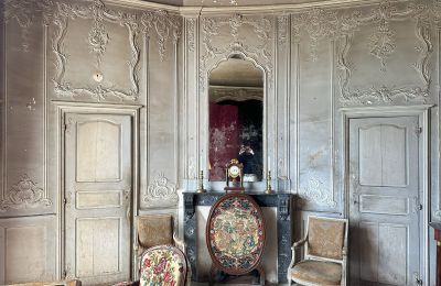 Château médiéval à vendre Occitanie, Image 3/10