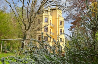 Villa historique à vendre Gera, Thuringe, Image 26/29