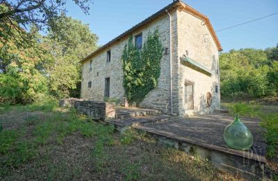 Propriété historique à vendre 06014 Montone, Ombrie, Image 14/35