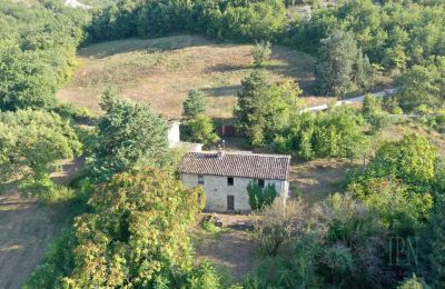 Propriété historique à vendre 06014 Montone, Ombrie, Image 7/35