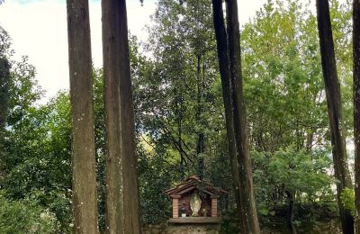 Monastère à vendre Pescia, Toscane, Image 30/47