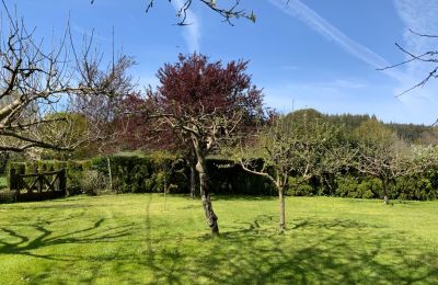 Ferme à vendre Melide, Cabazás, Galice, Jardin