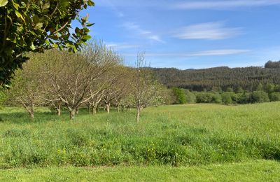 Ferme à vendre Moeche, Sta Cruz de Moeche, Galice, Terrain