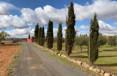 Ferme à vendre Almagro, Almagro, Castille-La Manche, Accès