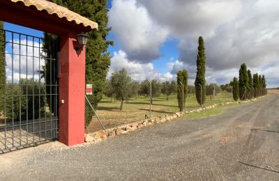 Ferme à vendre Almagro, Almagro, Castille-La Manche, Accès